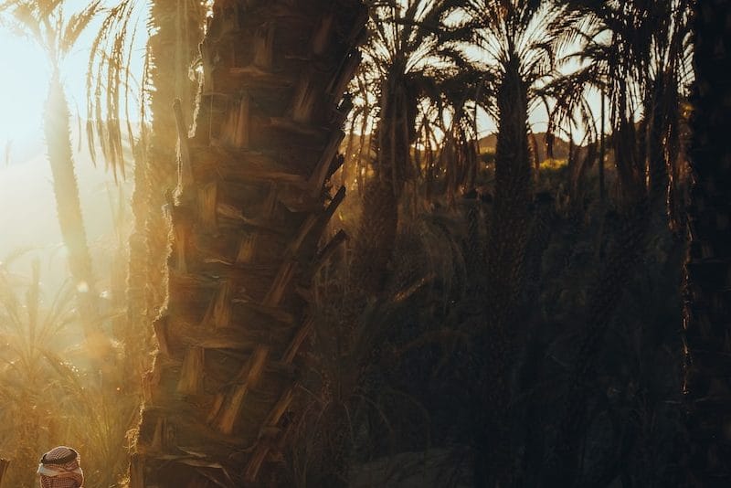 a woman is standing between two palm trees